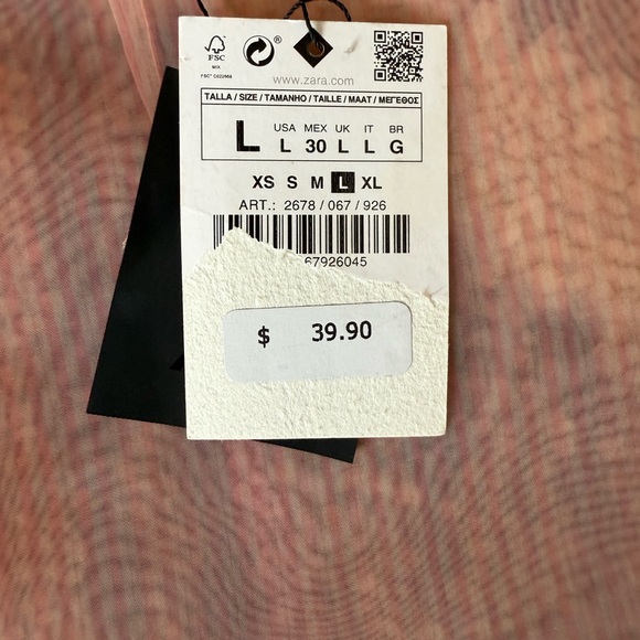 ZARA Sheer Blush Skirt - Picture 6 of 7